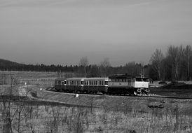 railway among nature in black and white image