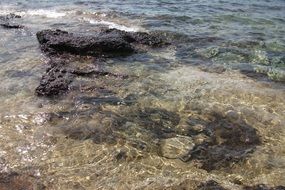 water on the Mediterranean shore