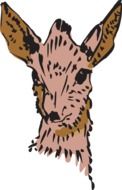 brown antelope head with new horns, drawing