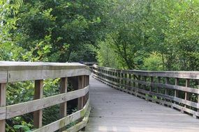 extraordinary beautiful path woods