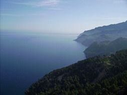 green forest on a mountain by the ocean in Mallorca