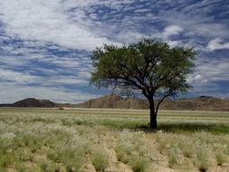 Landscape of the namibia