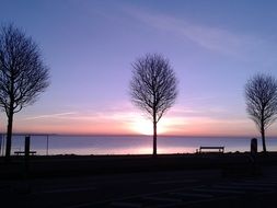 Sunrise over the natural trees