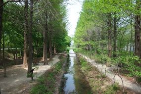 walk in the nature
