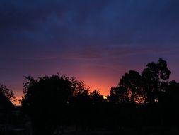 Landscape of sunset over the trees