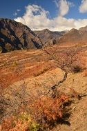 Landscape of mountain top