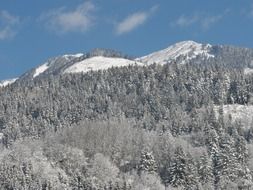 wintry snow in mountains