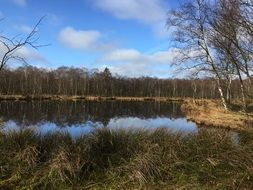 landscape of Lake of the Woods on the background of the cloudy sky