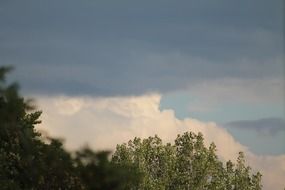 clouds above the trees before the storm