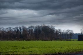 dark clouds over green field and trees