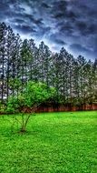 landscape of the nature