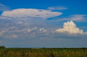 Beautiful, green and yellow field under a blue sky with white clouds
