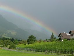 rainbow over the winery