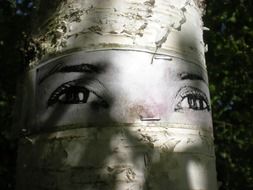 art on a birch in stockholm