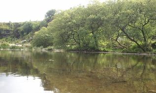 elegant pond lake