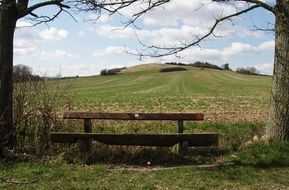 wooden bench outdoor