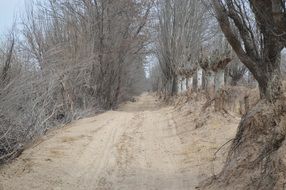 unmade road in winter