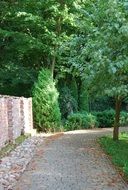 green trees in the garden