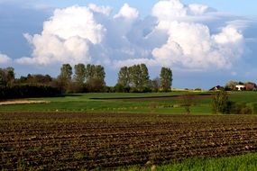plowed field at spring