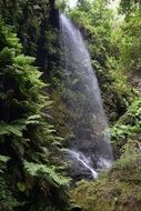 jungle waterfall