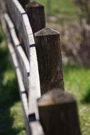 Wooden fence pillar