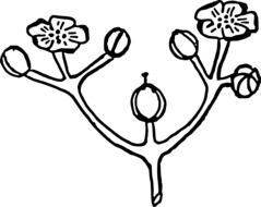 Black and white drawing of the branch with the flowers clipart