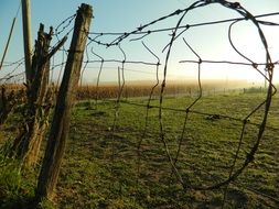 wire fence in the countryside