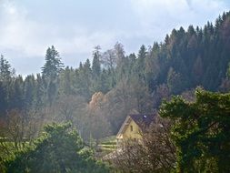 hut in the autumnal forest