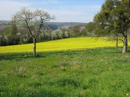 landscape of the spring field in Germany