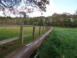 bridge on a green meadow