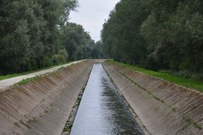 channel between green trees