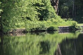 scenic lake landscape in a park in Massachusetts