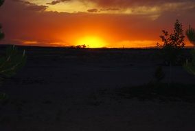 golden sunset beyond the horizon