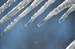 winter icicles