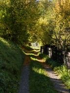 walk path along wooden fence at fall