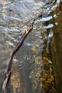 stream water flowing