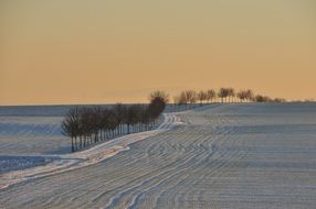 Landscape of wintry hüpstedt