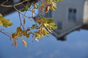 house mirroring on calm water at autumn, sweden