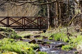 wooden bridge over a stream among the forest