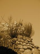 stone ruins in weeds