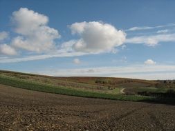 Landscape with the vineyard in Germany