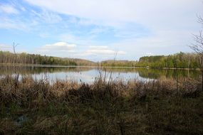 Lake landscape in summer