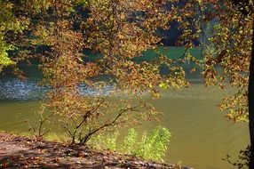 autumn landscape of lake in a forest