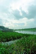 landscape of river in bukittinggi