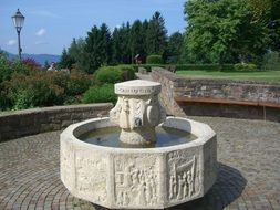 fountain on a background of black forest