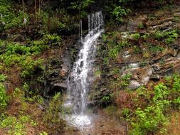 beautiful waterfall in the mountains in the forest