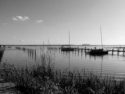 elegant lake boats