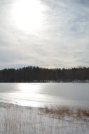 landscape of Frozen winter pond and Trees outlines