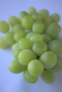 green grapes on a light purple background