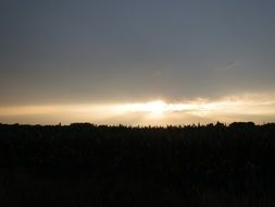 sunset netherlands landscape